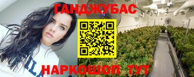 крисы Обь