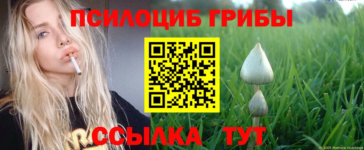 Псилоцибиновые грибы MAGIC MUSHROOMS Среднеуральск